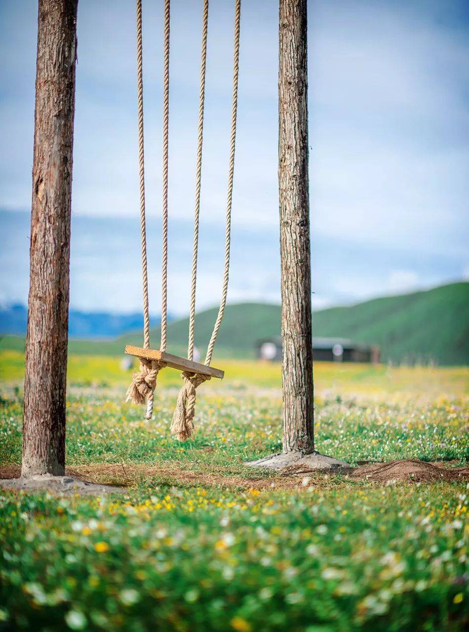 高原|5月26日开园！！俄么塘花海，已经开始美了！