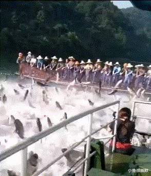 “新房子有这么个角落，该怎么装修？”网友：这是庙吧？哈哈哈