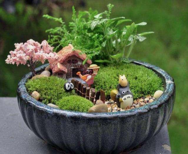 办公室|在家里或办公室自己打造个微景观有不一样的意境