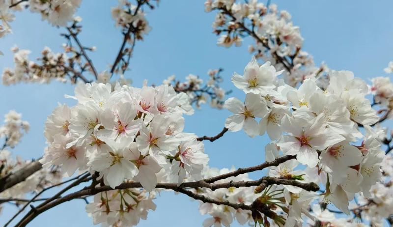 柳河|你最不想听的10句大实话