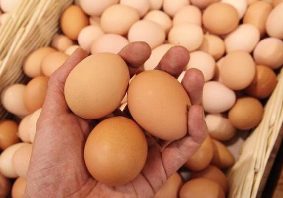 “红壳”鸡蛋和白壳有什么区别?养殖户:区别很大,别买错了!