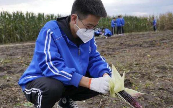 大学|不适合考公务员的专业，对应岗位少薪资待遇低，学生别白费力了