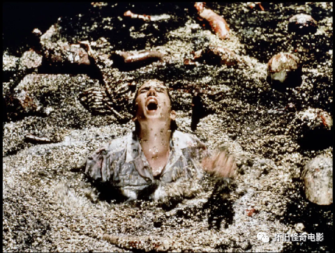 刘亦菲|必看意大利铅黄片,萝莉惊艳,尖叫不止!