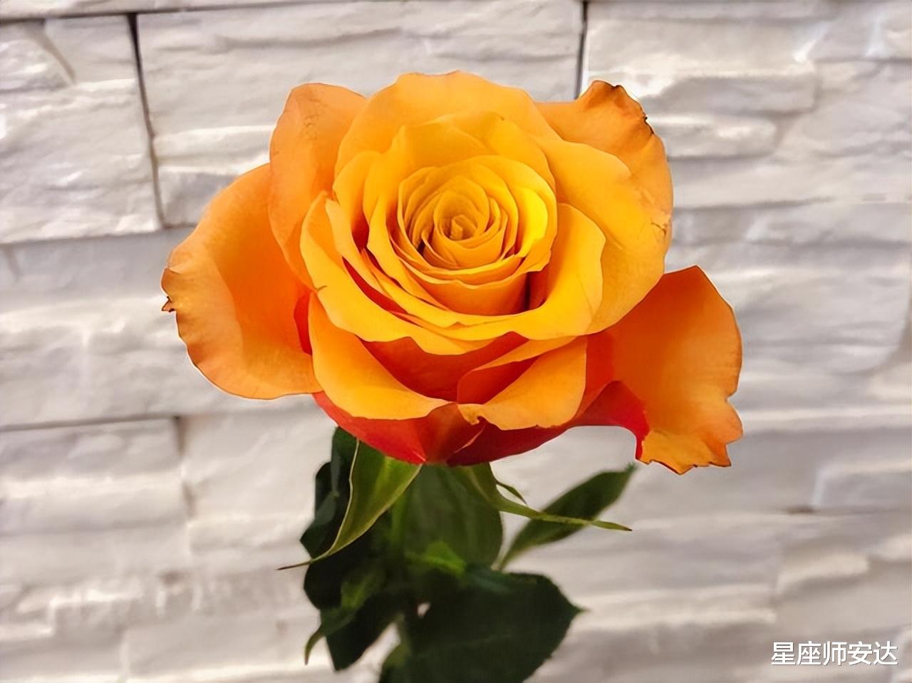 天秤座|为人处事得体的星座,有涵养,稳重中透着智慧,不卑不亢擅长抉择