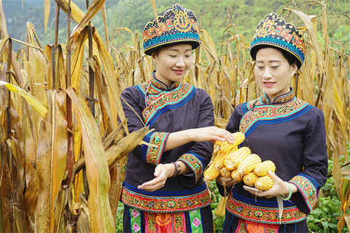 运动|中国133岁长寿之王龚来发,一生未婚无子女,生前一爱好并不健康