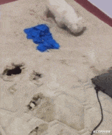 |“想让沉迷游戏的老婆去上班,该怎么劝?”神点评绝了...