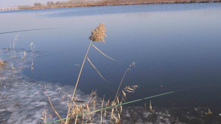 |降温时鱼难钓，升温时鱼也同样不好钓，甚至比降温时还难钓