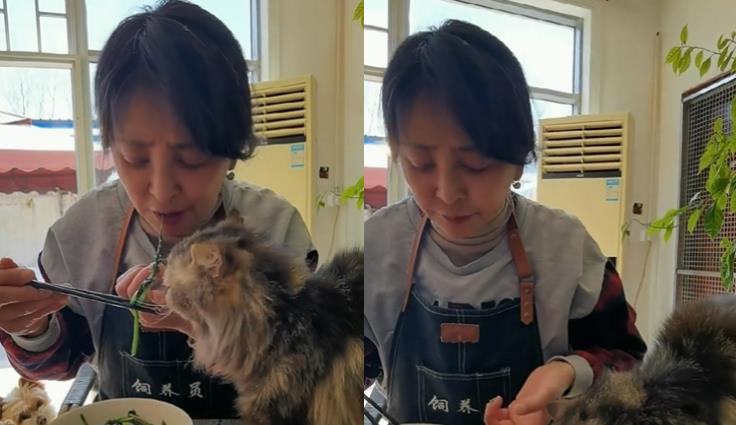 王心迪|李勤勤和猫同吃菜叶不嫌脏！头发凌乱打扮朴素，桌上残渣太抢眼