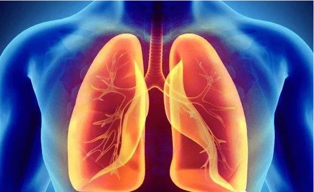 肝脏|人体中的五行器官分别起什么作用？