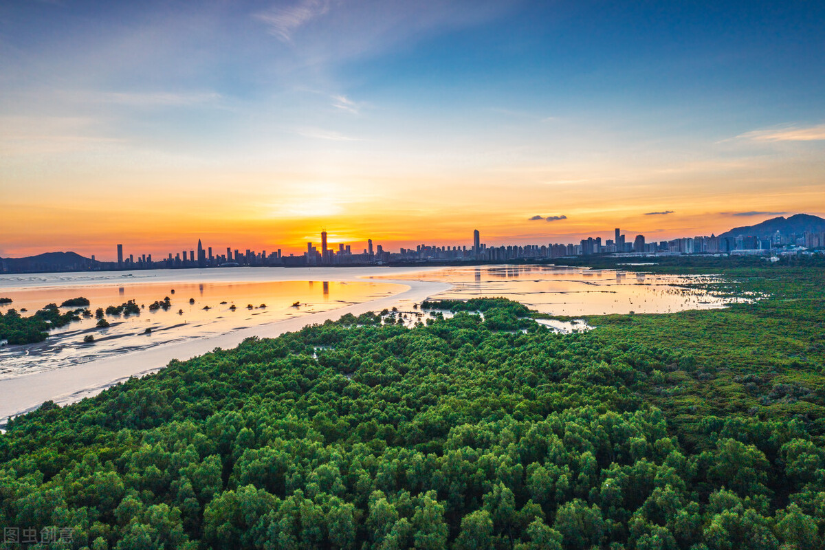 退休|微小说：退休局长找工作