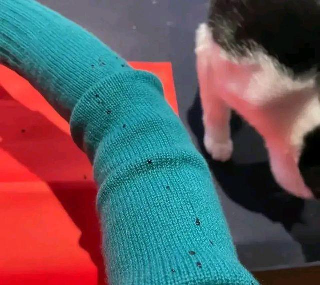 陈晓|白敬亭太心酸了？孙俪口是心非？陈晓陈妍希夫妻关系让人羡慕？