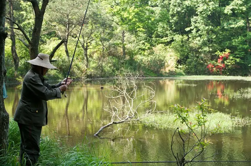 |夏季天气炎热，还傻傻地在太阳下晒？鱼不开口，是因为钓法没用对