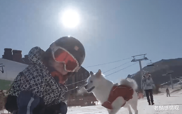 张艺谋|她的滑雪视频一夜走红，张艺谋一眼相中，年仅1岁萌娃亮相出圈！