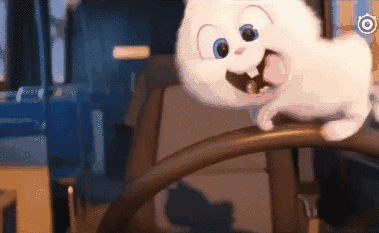 教练|教练被我气到当场重新找工作！车还没学会，教练不干了！