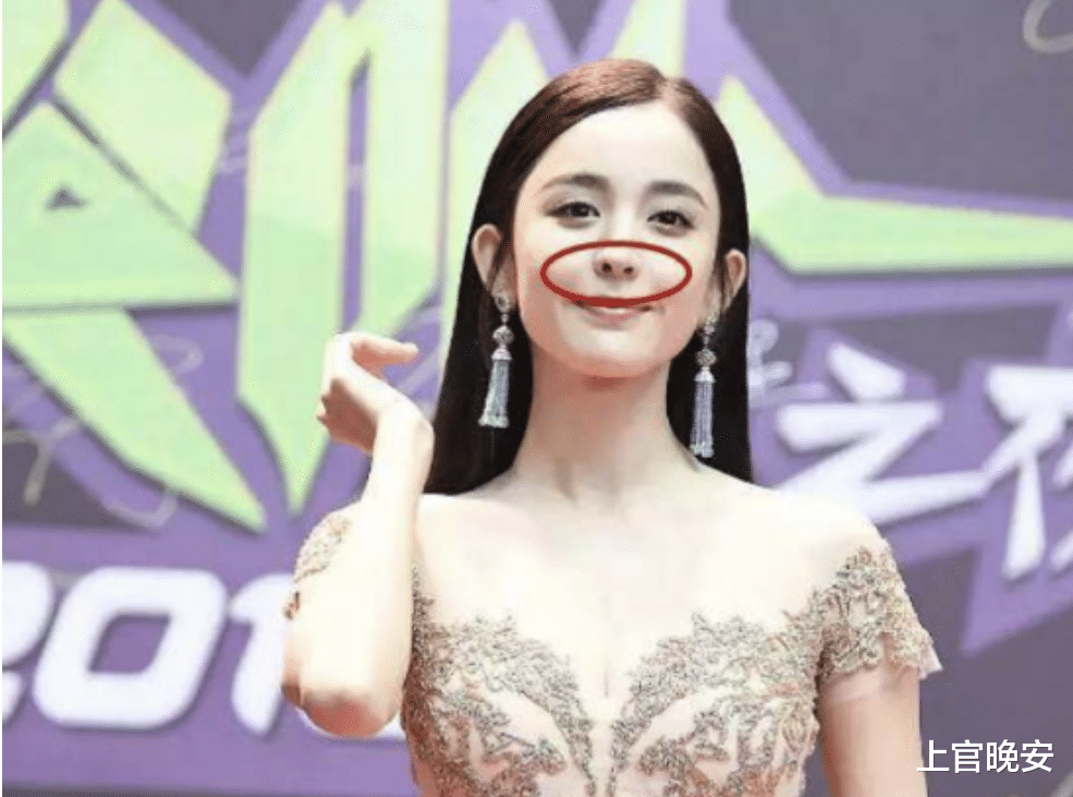 娱乐圈|娱乐圈明星们的假鼻子，真的绝了！都是狠人