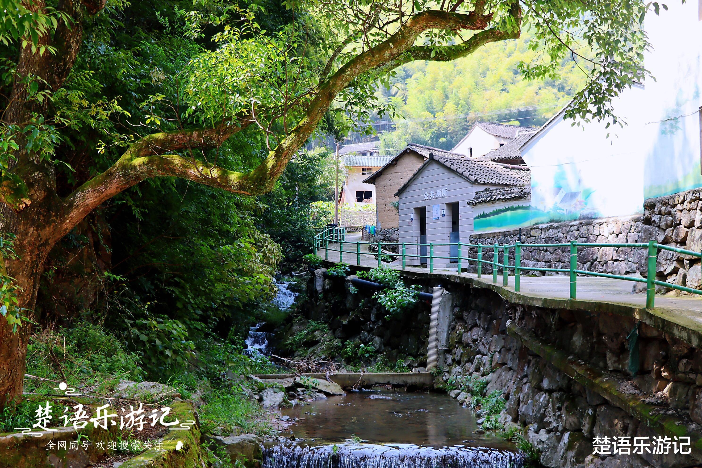 桂林|居于奉化山岙的古村落，曾有电视剧组慕名来取景，景美成赏秋胜地
