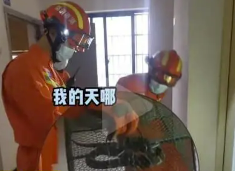 男子睡觉中被蛇缠脚,以为是皮带!网友:还好你是在睡觉