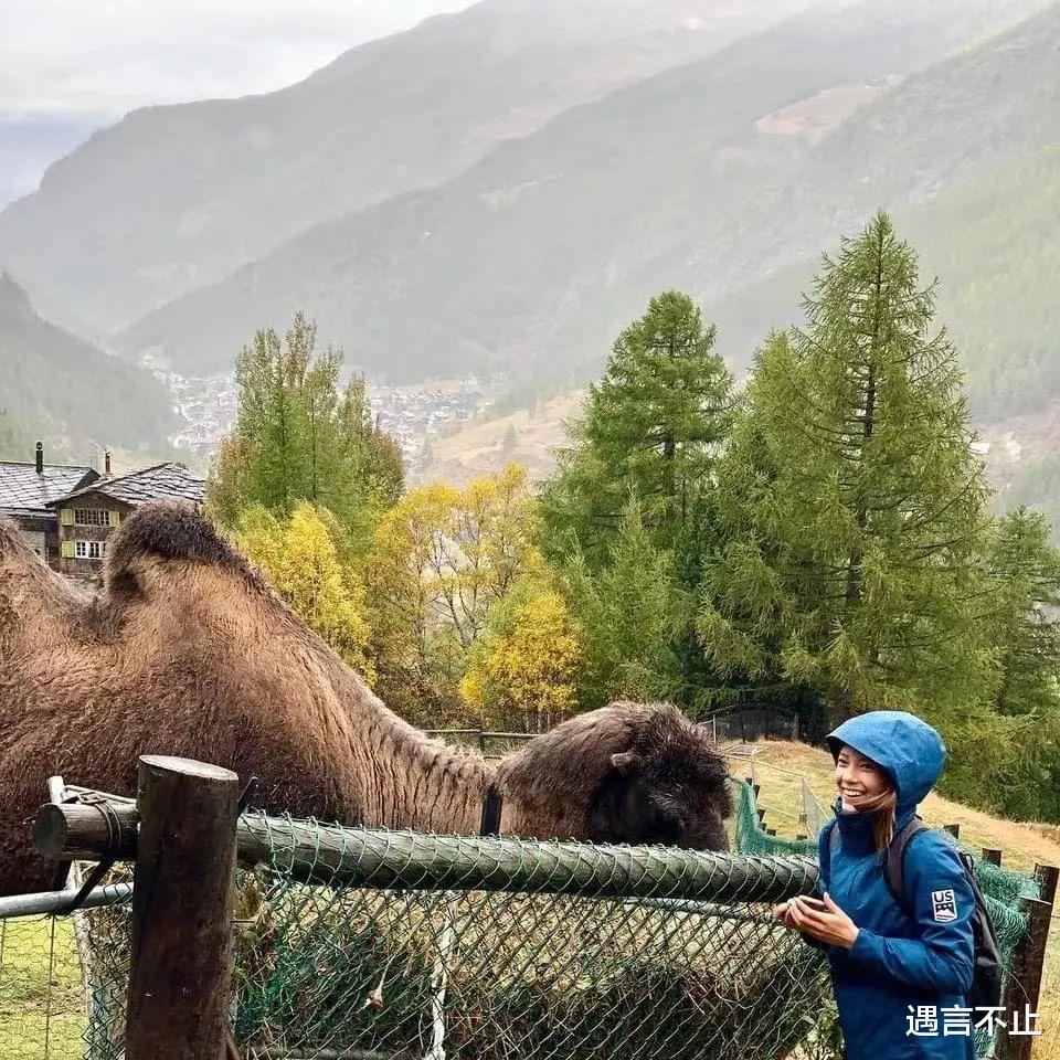 bilibili|谷爱凌的父亲是谷歌No.5员工， 终于被我们找到了！