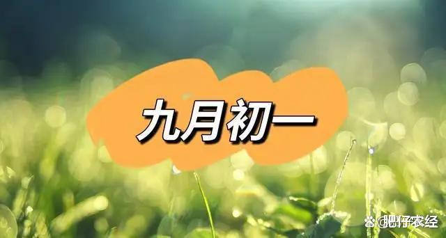 老话“明年收不收,就看九月一”,为啥要看九月一?有啥说法?