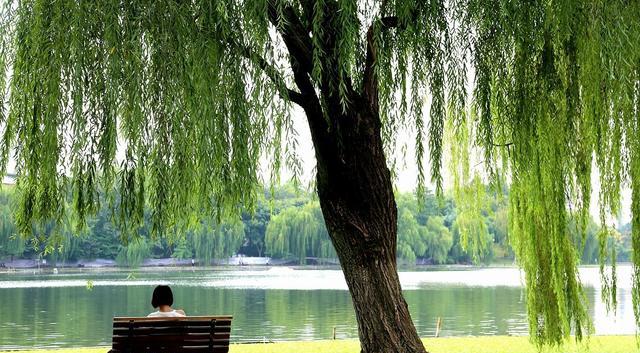 浙江大学|浙江大学拟聘教职名单公布，分别来自广州大学宁波大学、同济大学