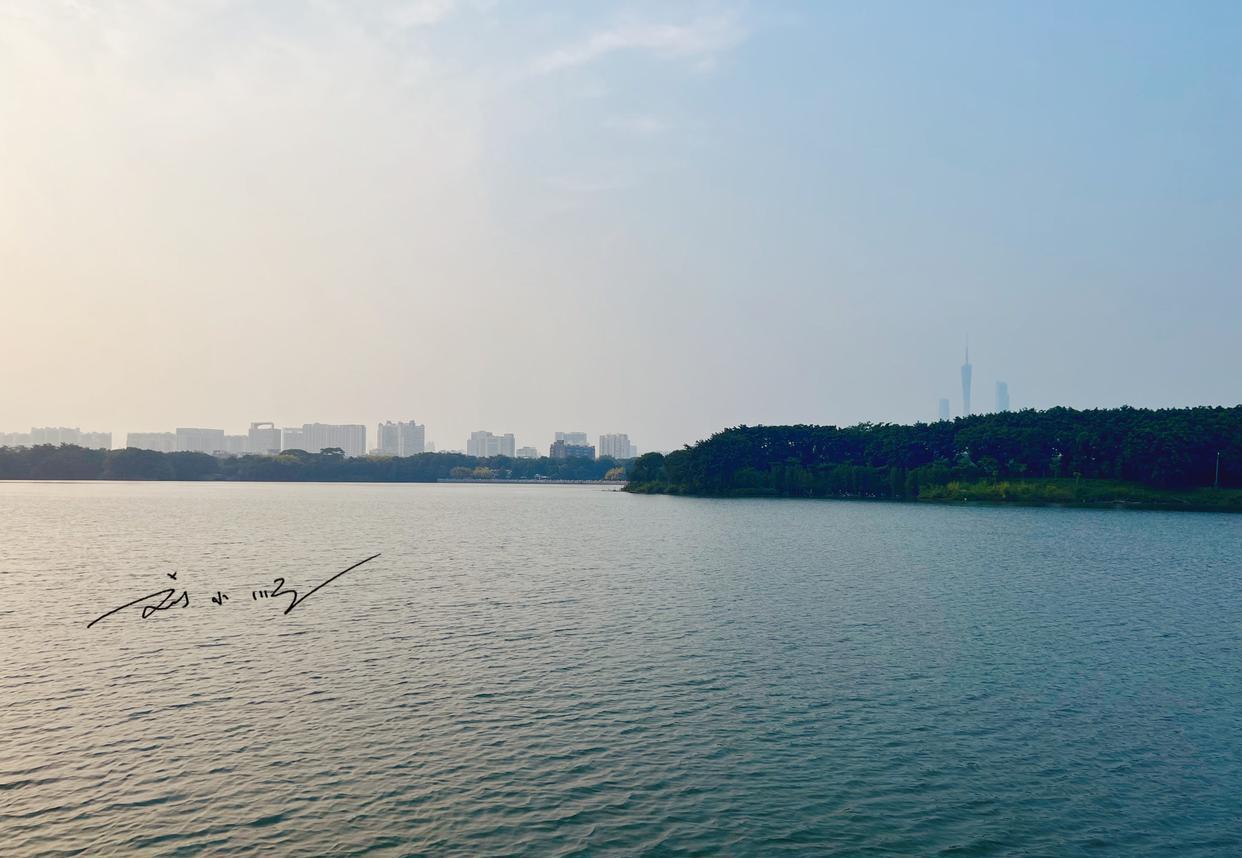 广州市|广州市中心有一片“海珠湖”,可以远眺广州塔,风景堪比杭州西湖