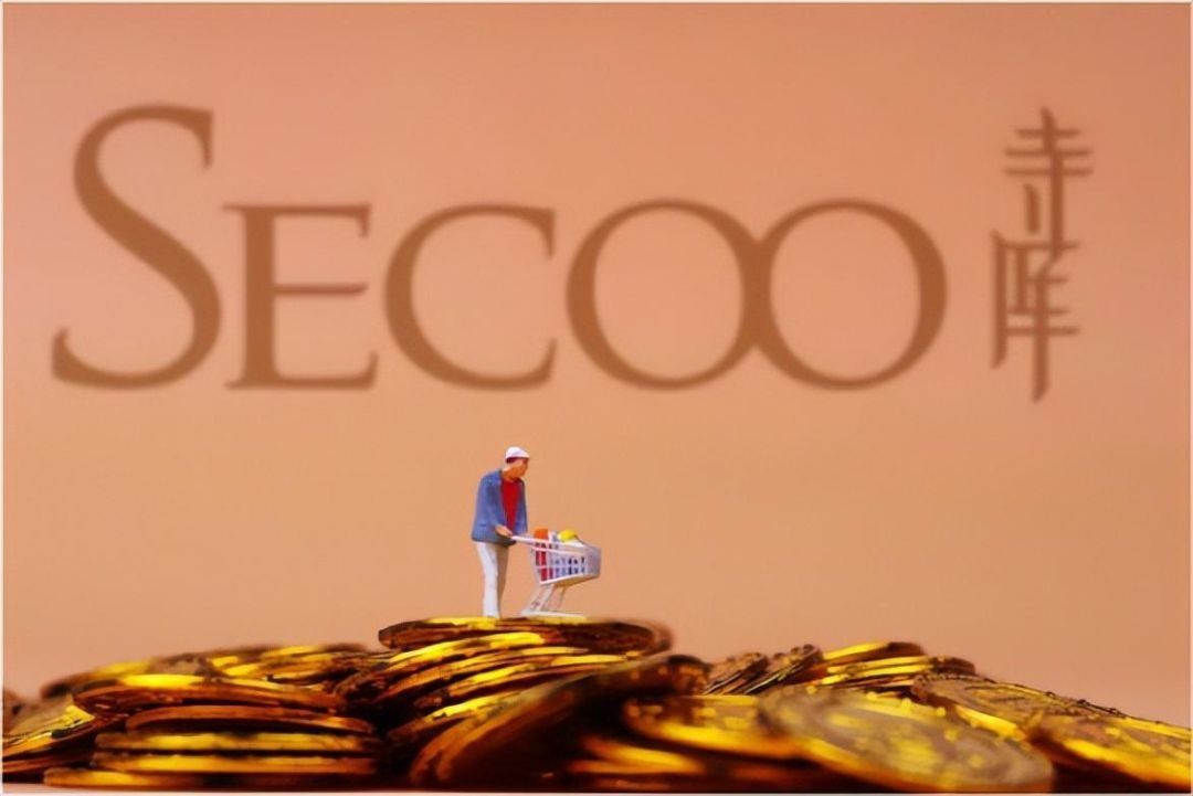 寺库|奢侈品电商寺库的寒冬：艺术家卖画难，把艺术品当奢侈品卖也难