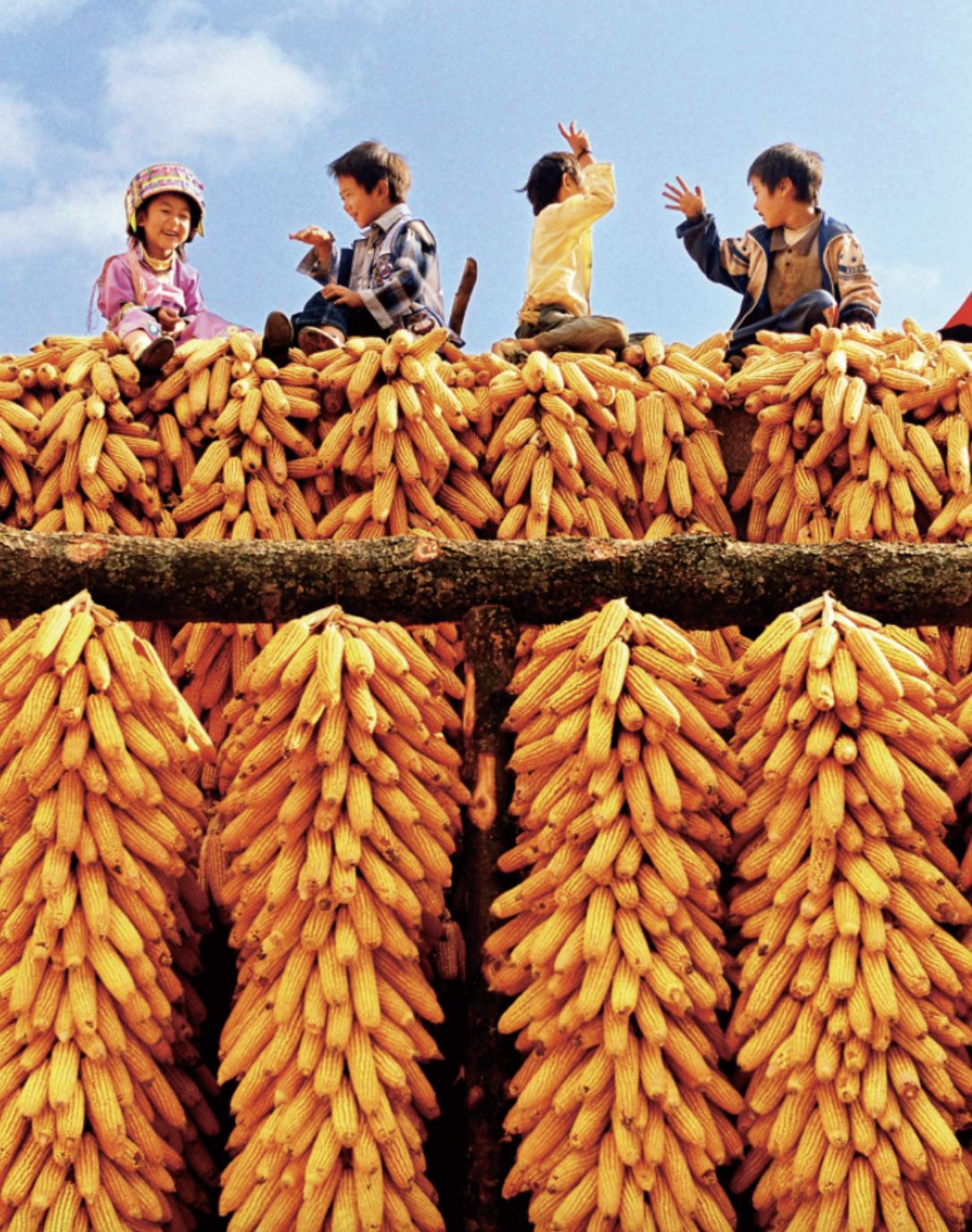 湖滨|深藏时光里的红河古村落，谁是你心中的NO.1？