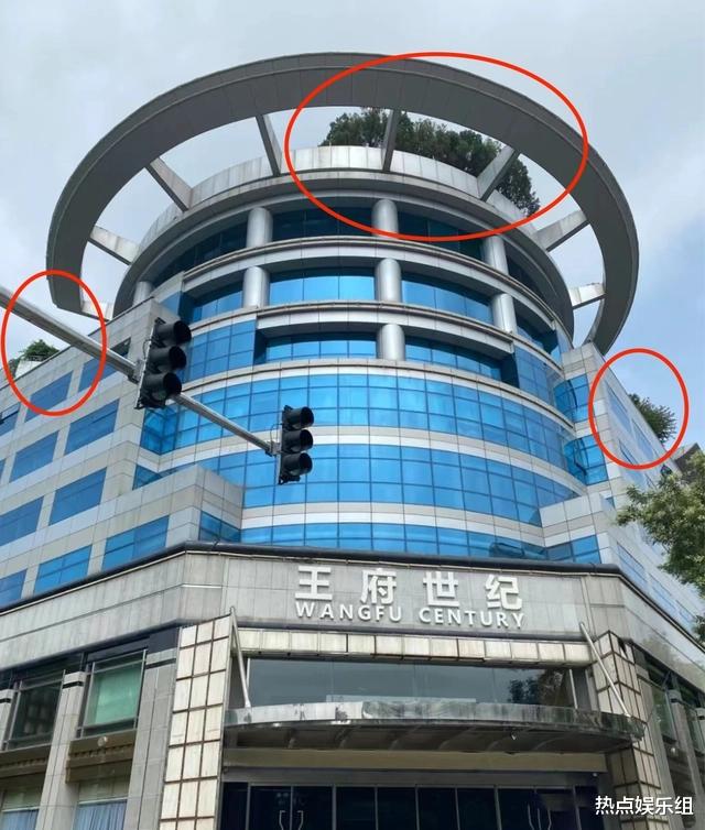 王艳|“晴儿”王艳入豪门成阔太,豪宅楼顶堪比公园,网友:替夫还债