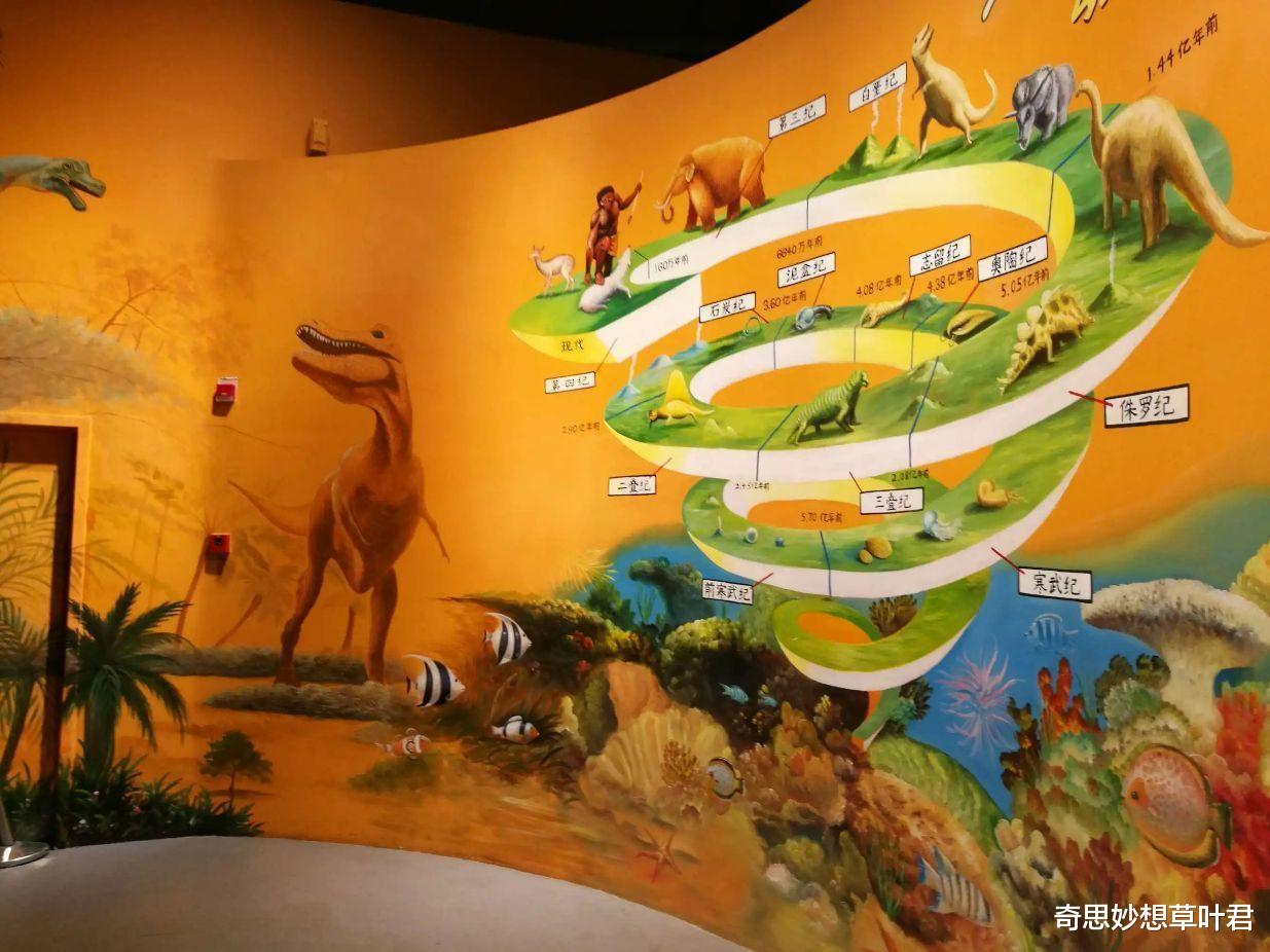 《进化论》空白:关于人类起源内容为何断层?科学如何解释?
