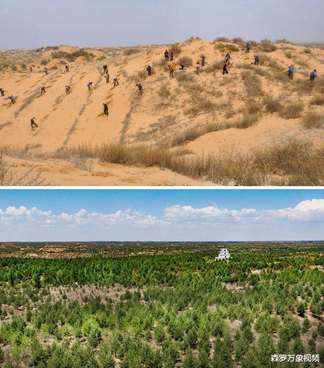 毛乌素沙漠|中国第一个将消失的沙漠：面积比海南岛还大，80％沙漠已变成绿洲