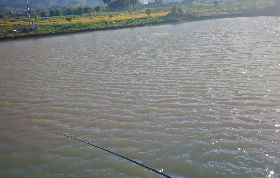 |小暑将临,鱼群转移!大鱼常在这些地方“聚头”,抢到就能爆护