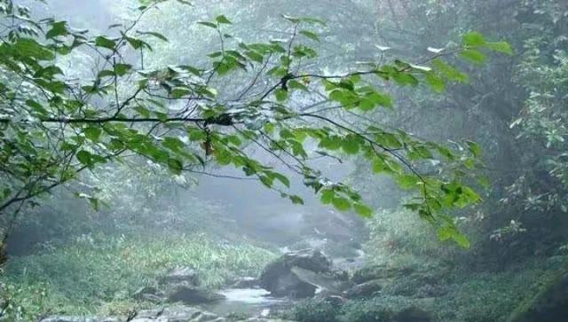 逃跑的四川乐山沐川县民警，因妻子出轨遭受侮辱而杀人