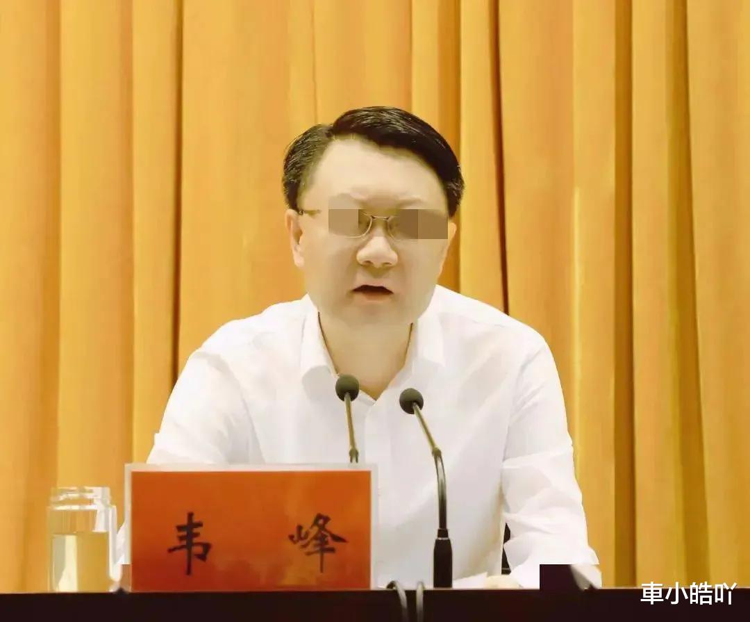 90后女副局长同时交往六位情夫,她最爱的是哪一位?