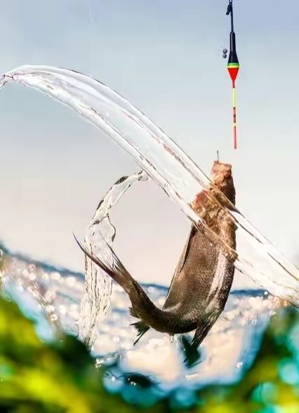 朝鲜|钓鱼有口却打不上来,原来是这里出现了问题