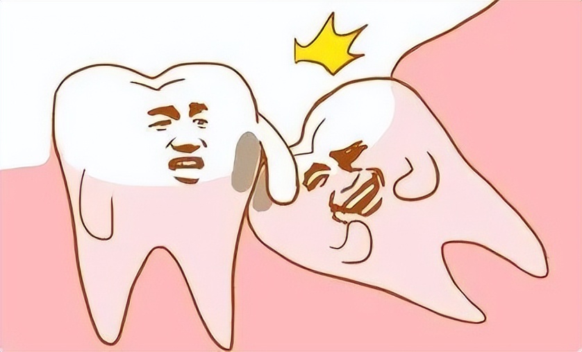 西红柿|这3个器官没啥用,切除也无妨?问题的真相是什么?