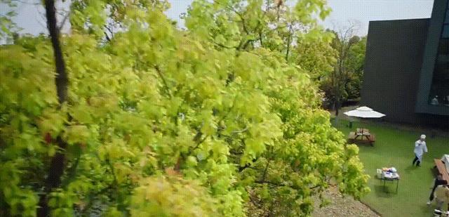 陈珊|42岁高圆圆演精英女律师霸气，戴尚美拎FENDI，职场穿搭优雅干练