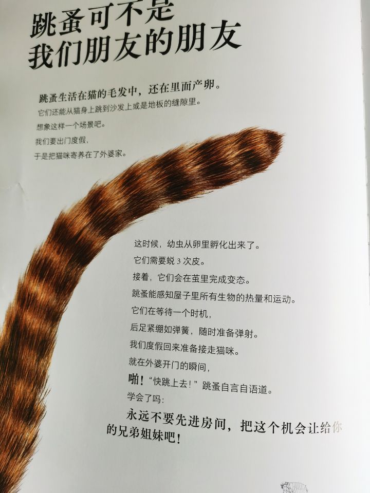 昆虫懂数学?昆虫耍阴招?近百种颠覆想象的昆虫生活都在这本大书