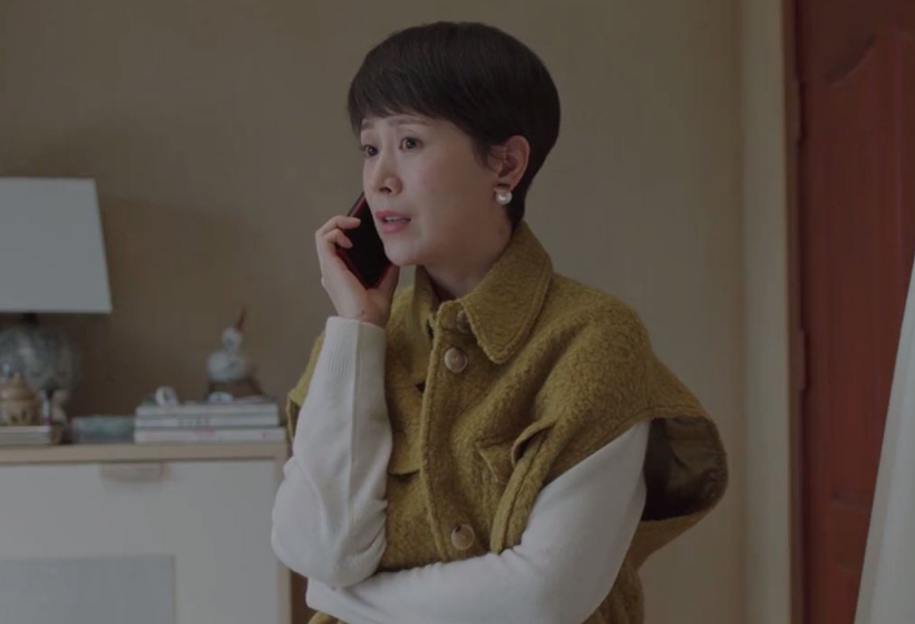 赵丽颖|浙江台放狠招！《心居》要播了，两大视后压轴，能否打开收视大门