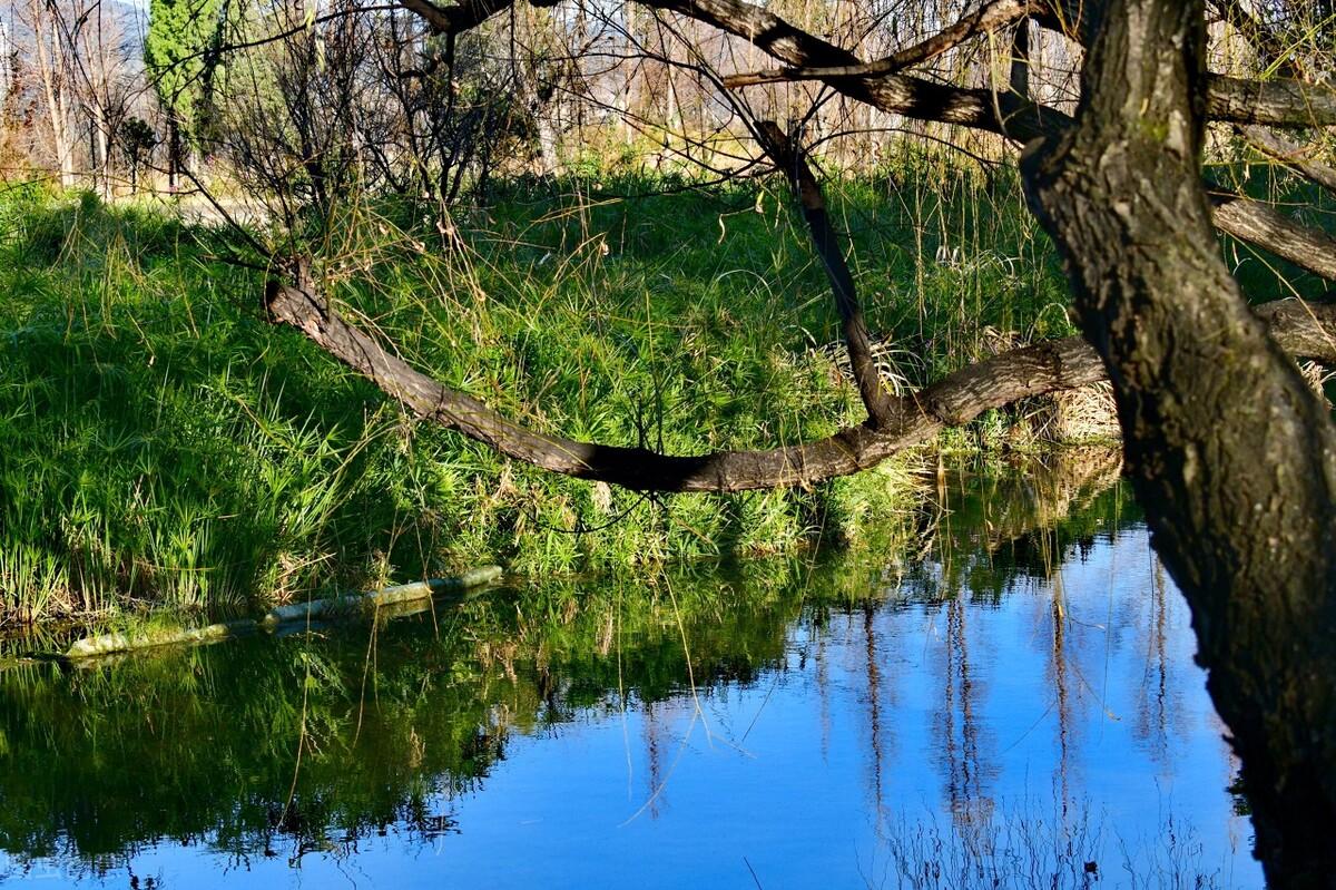 滕州|郭进拴|雨中游滇池