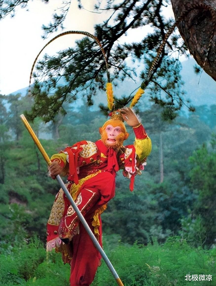 孙悟空的如意金箍棒只有一根,那六耳猕猴拿的那根是什么?