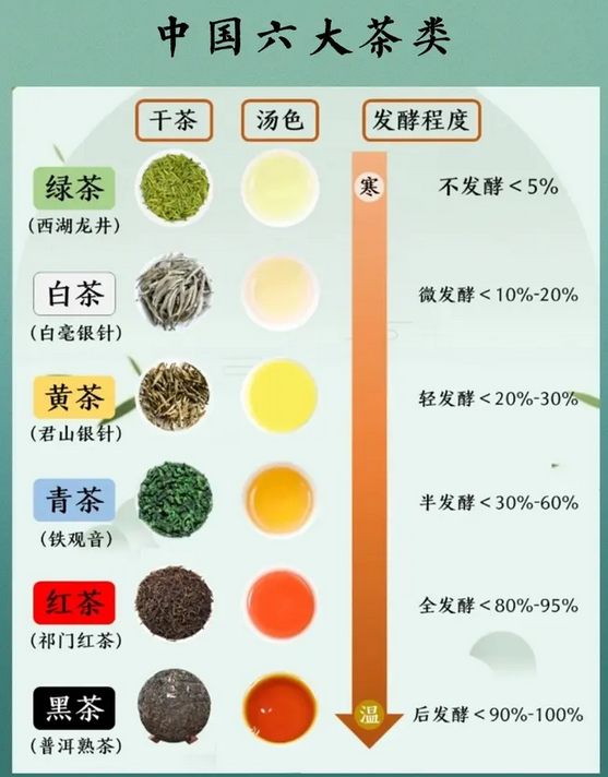 茶叶|茶叶是打通人体经络最有效的食品?复旦大学:不同茶叶有相应归经