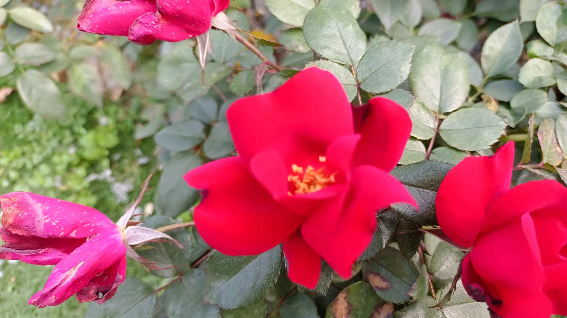 大学|掌握面试十大利器，助你早日拿到心仪的OFFER