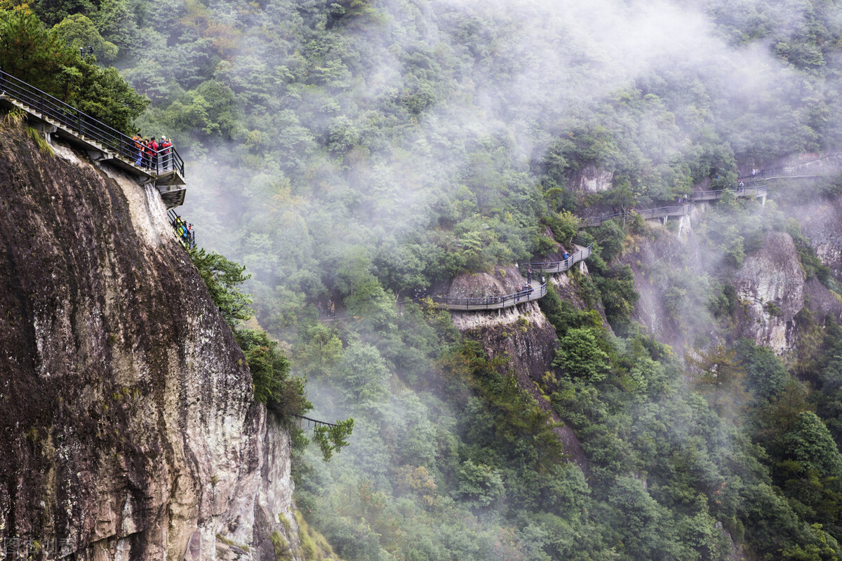 杨梅|中国最具仙气的县城，江南最接近天堂的地方，却用杨梅征服世界