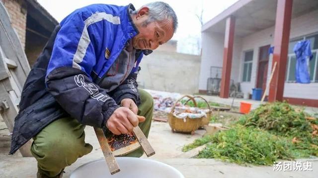 15年老汉放羊捡到受伤“大鹅”,养了13天,却发现哪是鹅?是宝贝