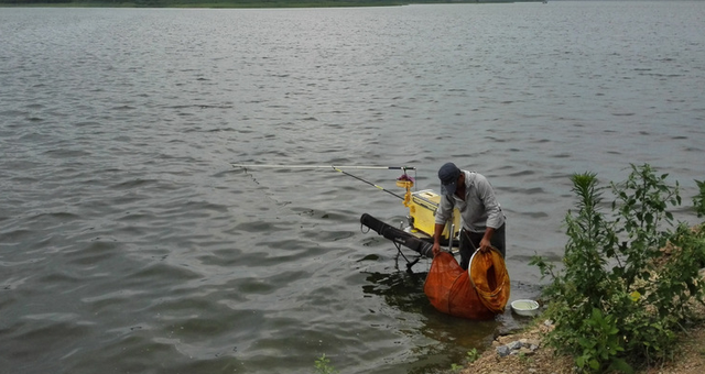 鲤鱼|春季钓鲤鱼，注重饵料的搭配使用，上鱼快鱼获多