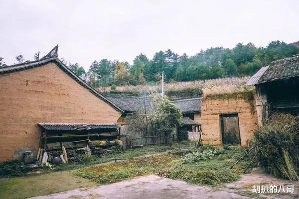 七旬老汉与情人在床上被儿子撞见,儿子拳打美女致其骨折