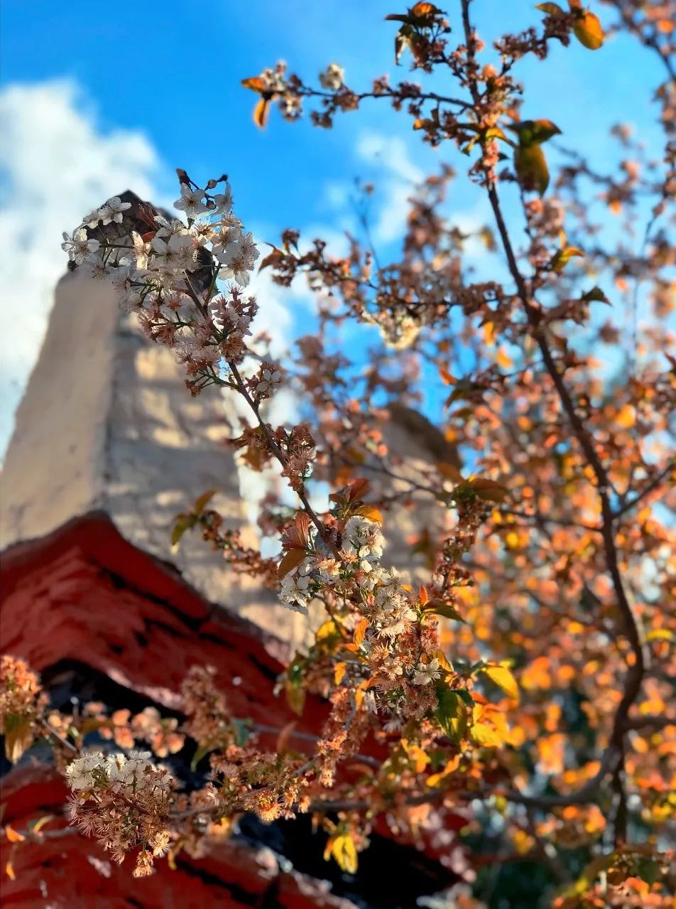 退休|退休后,就去8个国内很治愈的地方,喜欢就停下来住几日!