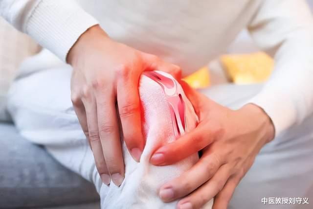 蛋白质|分享一味抗癌良药——石见穿,如水滴石穿一般!消肿散结功效强大