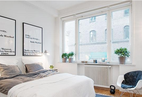 家里这些地方最忌讳摆植物，有钱人都知道，摆错的赶紧改正过来