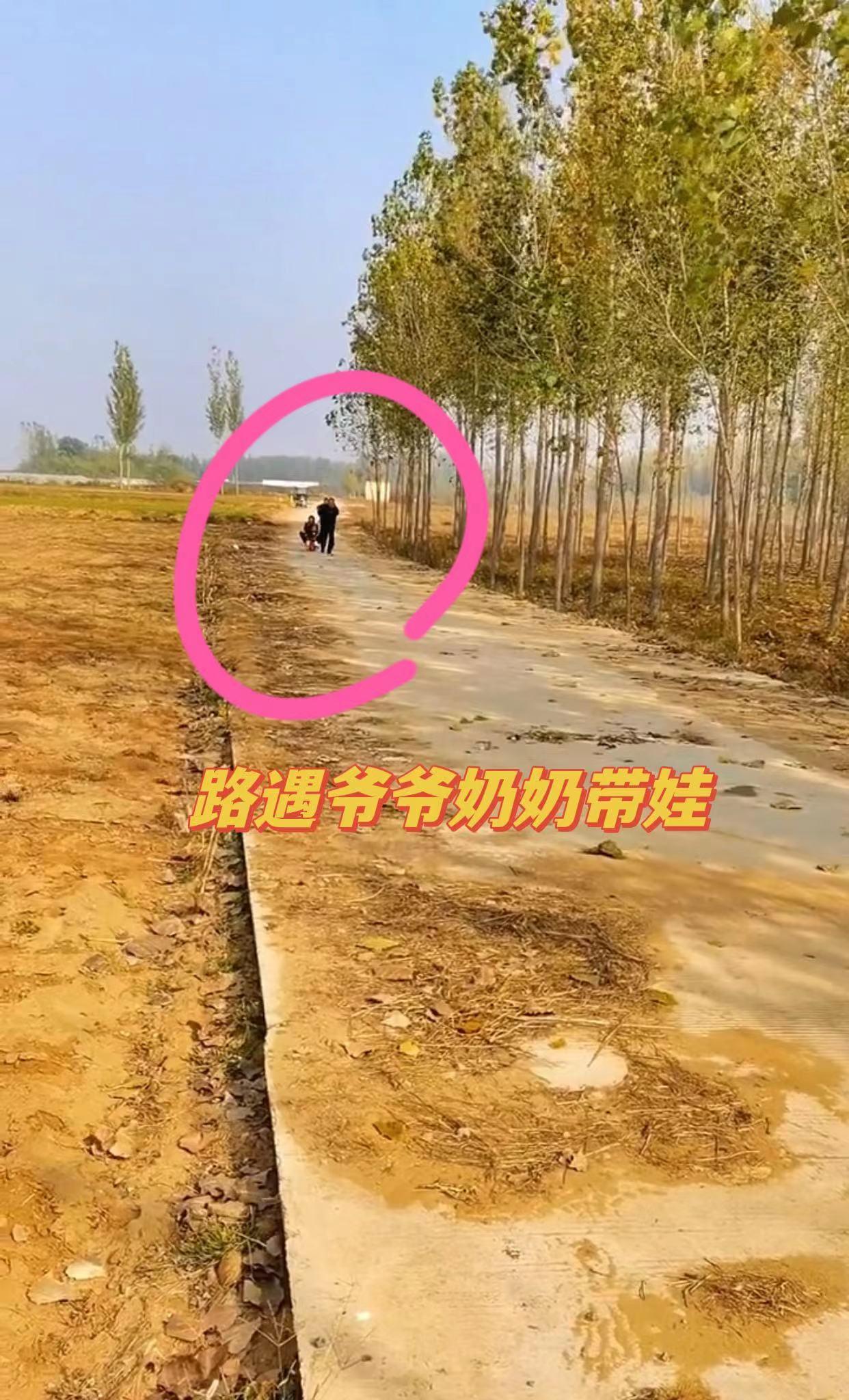 妈妈下班回家,路遇公婆带娃,画面温暖,网友:就是有点废爷爷